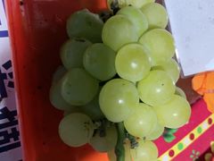 -马陆小张葡萄园农家乐