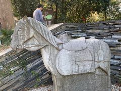 -上海佘山国家森林公园西佘山园