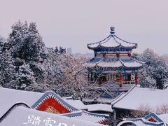 -颐和园