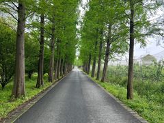 -广富林郊野公园