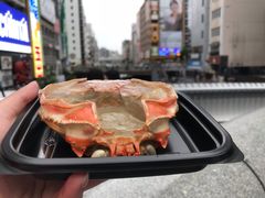-蟹道乐(道顿堀本店)