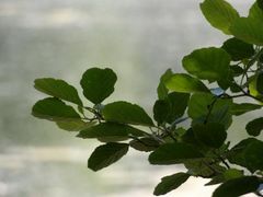 -维乐口腔医院(星海湾分院)