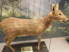 -下渚湖国家湿地公园科普馆