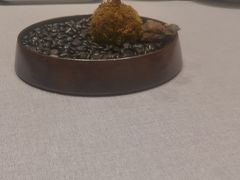 -龙宴海鲜城(经中路店)