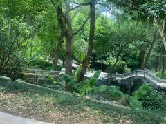 -东明山森林公园
