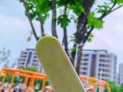 -长春市南湖公园