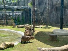 -武汉动物园