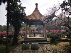 -雨花胜境