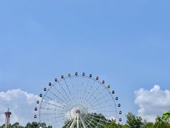 -温州乐园