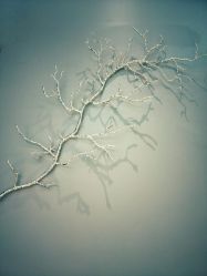 大厅-17.壹柒·美学高定空间