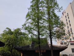 -常州古运河南大街文化旅游区-人民公园