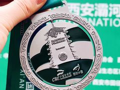 -灞河西岸滨河公园