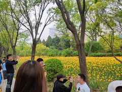 -迎泽公园