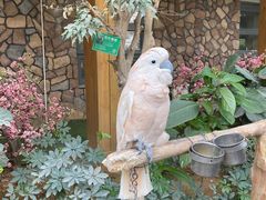 -南宫五洲植物乐园