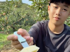 -大连北马山庄