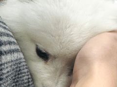 -帝京日语(春熙路旗舰校区)