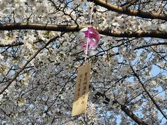 -堤角公园