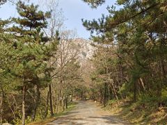 -金龙寺国家森林公园