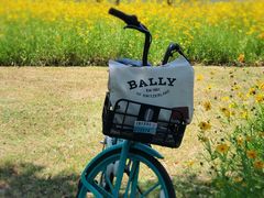 -贡湖湾湿地公园