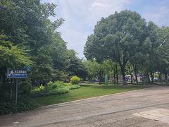 -青枫公园