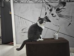 -不作·手工银饰DIY(西红门店)