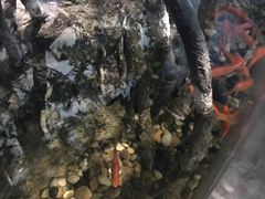 -中国湿地博物馆