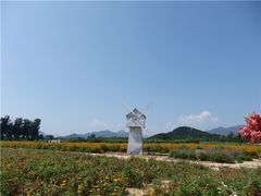 -北京东方普罗旺斯薰衣草庄园