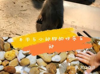 来动物世界和小动物亲密互动吧～
