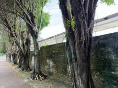 -佳记厚街烧鹅濑粉(广州总店)