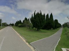 -盐城丹顶鹤湿地生态旅游区