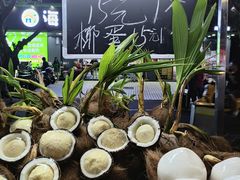 -海大南门夜市(海富街店)