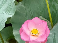 -重元寺香积厨素斋馆