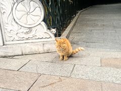 -红螺寺