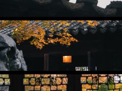 -耦园