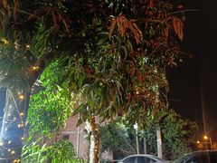 -长坦新鲜猪什夜宵广场