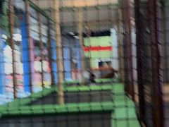 -蒙特利亲子乐园