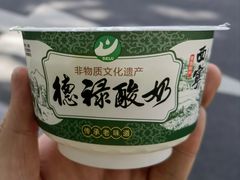 -德禄酸奶(莫家街店)