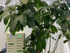 -宝力豪健身(万达广场店)