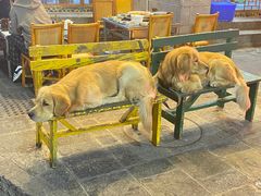 -八木轩·寻味大理白族民俗餐厅(文献路店)