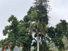 -友谊关景区