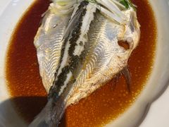 -宁波柏悦酒店·钱湖渔港