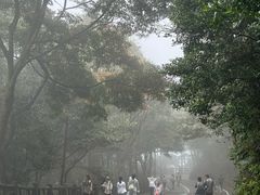 -梧桐山风景名胜区