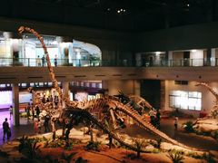 -自贡恐龙博物馆