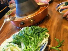 -东镇老火锅(高新区店)