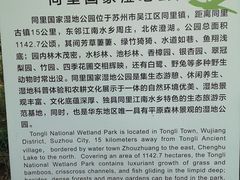 -同里国家湿地公园
