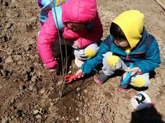 -蓝莓果幼儿园(通州梨园店)