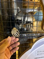 -酷嗒动物文化乐园(cutezoo西溪乐天城店)