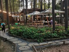 -林间山庄