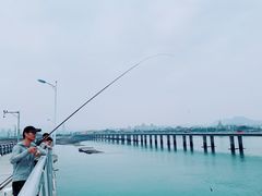 -海堤纪念公园