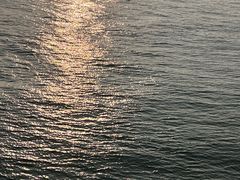 -演武大桥观景平台